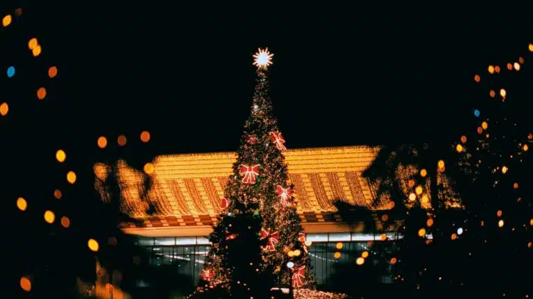 Жаңа жыл қарсаңында алматылықтар арнайы жарысқа қатыса алады