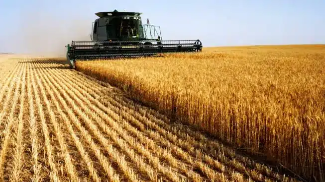 Президент әр кәсіпкерді өз ауылының өркендеуіне үлес қосуға шақырды