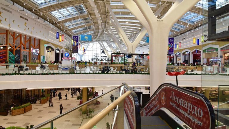 Крупные ТРЦ заставят проверять покупателей с помощью металлоискателей