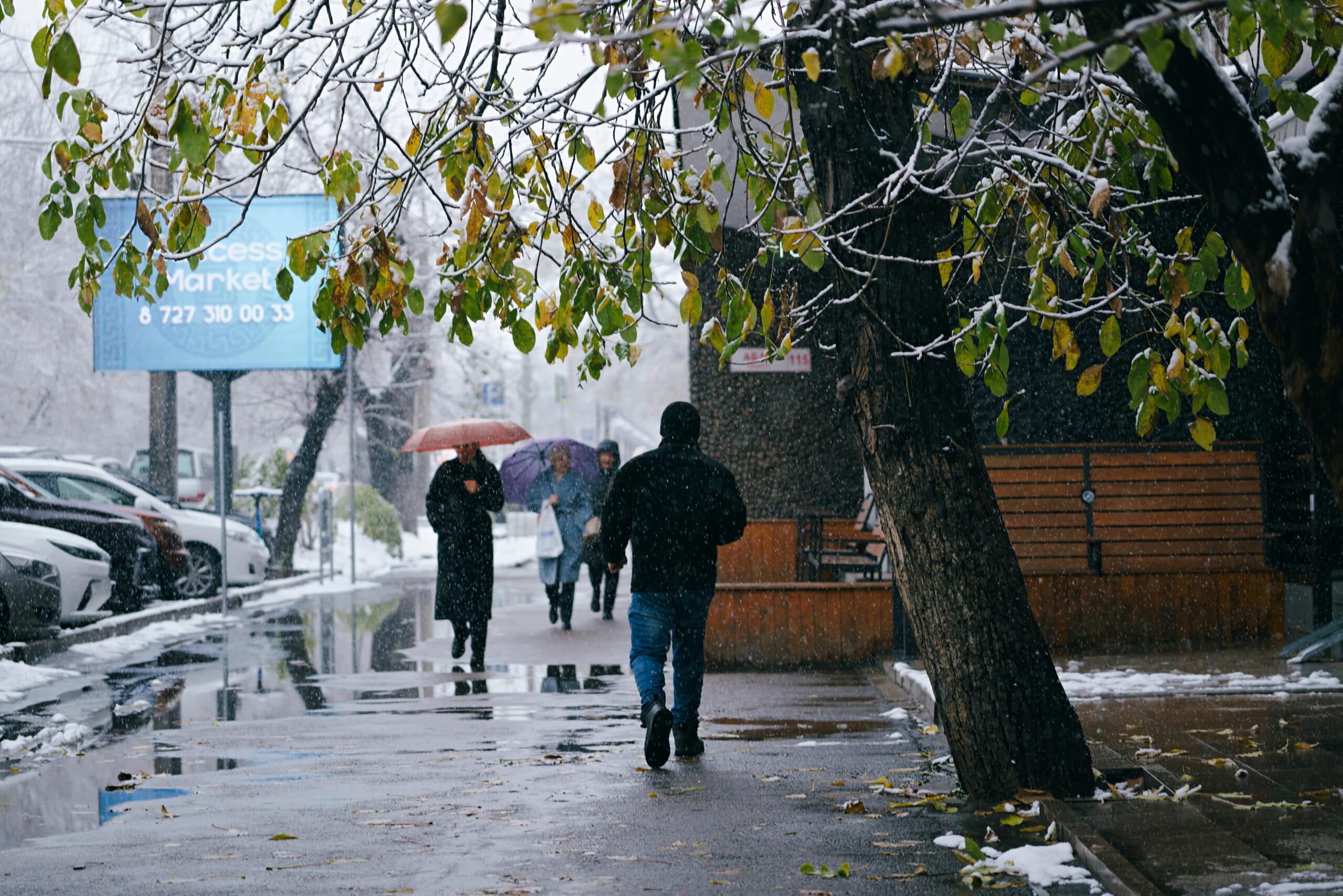 Первый снег