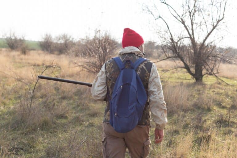 Түркістанда малға шапқан қасқырды ату басталды