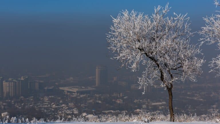 Алматы әкімдігі ауа сапасына қатысты ресми дерекке ғана сенуге кеңес берді