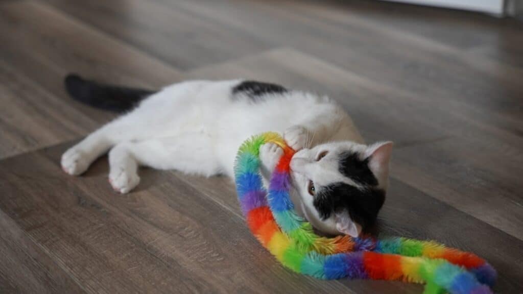 ЛГБТ насихаты: түрлі-түсті ойыншыққа да тыйым салынады