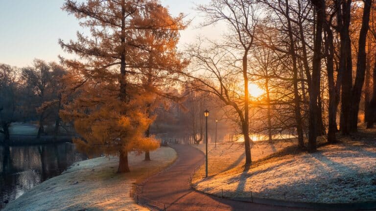 Тұман, көктайғақ, қар: 30 қарашаға ауа райы болжамы