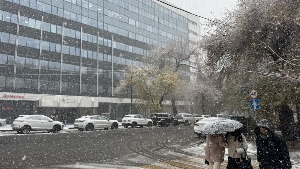 Фото: Максим Скопин