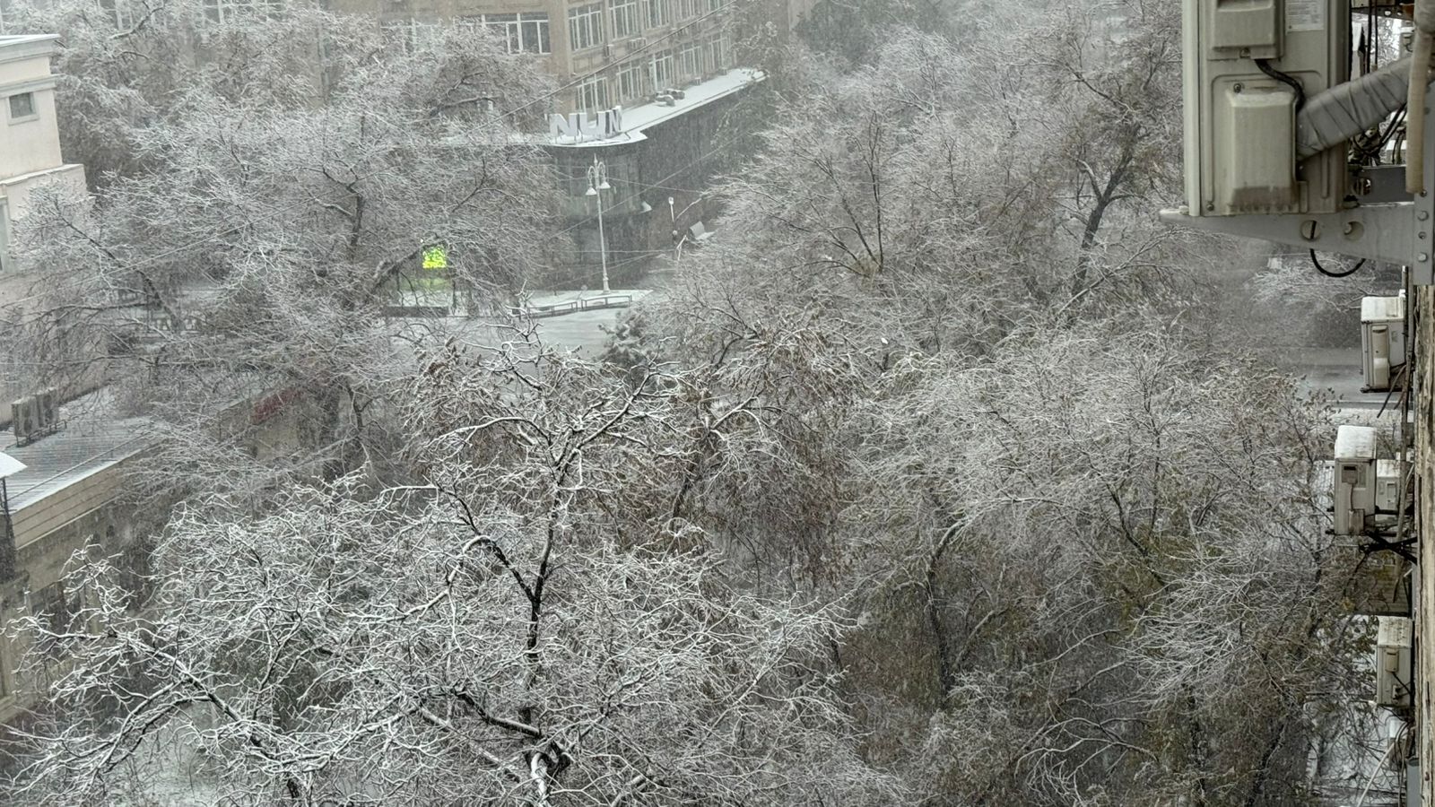 Первый снег