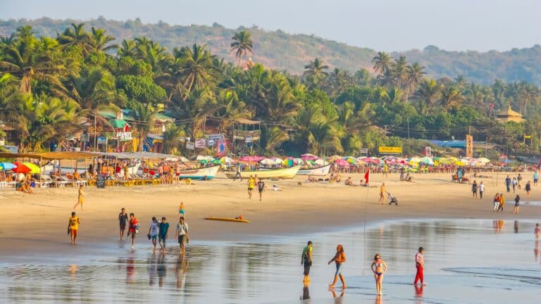 Сколько стоит встретить Новый год на пляжах Гоа