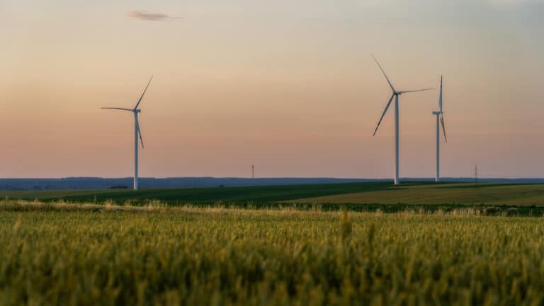 Китайские компании построят мощный ветропарк на юге Казахстана