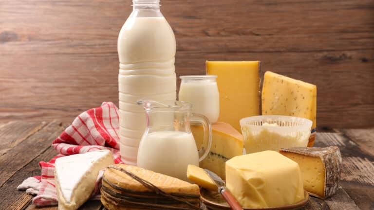 Швейцария начнет поставлять молочную продукцию в Казахстан