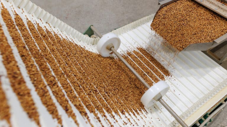 Аким нашел способ зарабатывать полмиллиона с одной тонны пшеницы