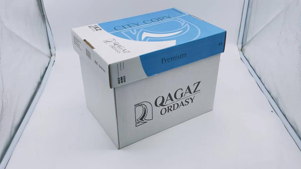 Принадлежащая казахстанцу компания планирует производить больше бумаги/Минпром, бильд-редактор Серикжан Ковланбаев