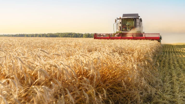 Казахстанским фермерам дадут почти бесплатную страховку на случай засухи