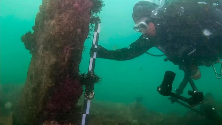 The real Atlantis? Massive underwater ruins uncovered by French scientists