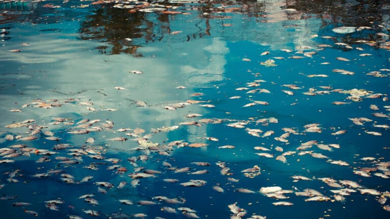 В Атырау рассмотрят вопрос компенсаций за вред экологии