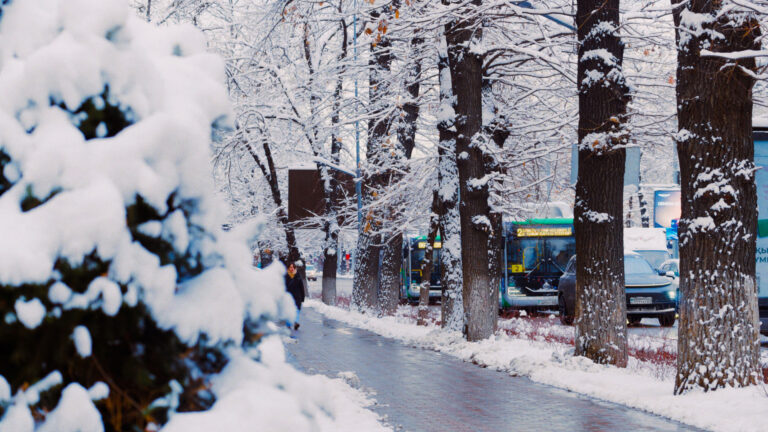 Казахстан ждут снегопады и сильные морозы в канун Нового года