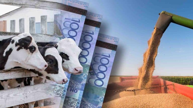 Жетісу облысында миллондаған мемлекеттік субсидия негізсіз төленген