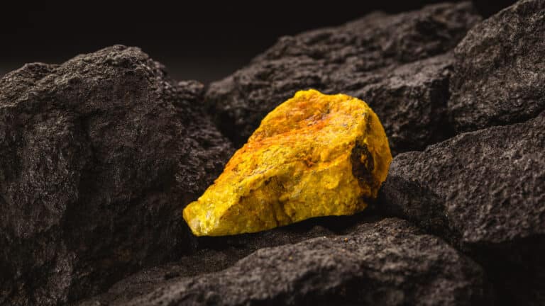 В Кызылординской области опровергли связь урановых рудников с ростом онкозаболеваний