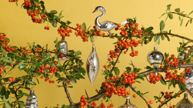 Винтажная новогодняя коллекция от дизайнера Dior вызвала у людей ностальгию по СССР