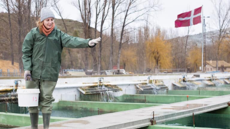 Датская семейная компания построит завод кормов для рыб в Алматинской области