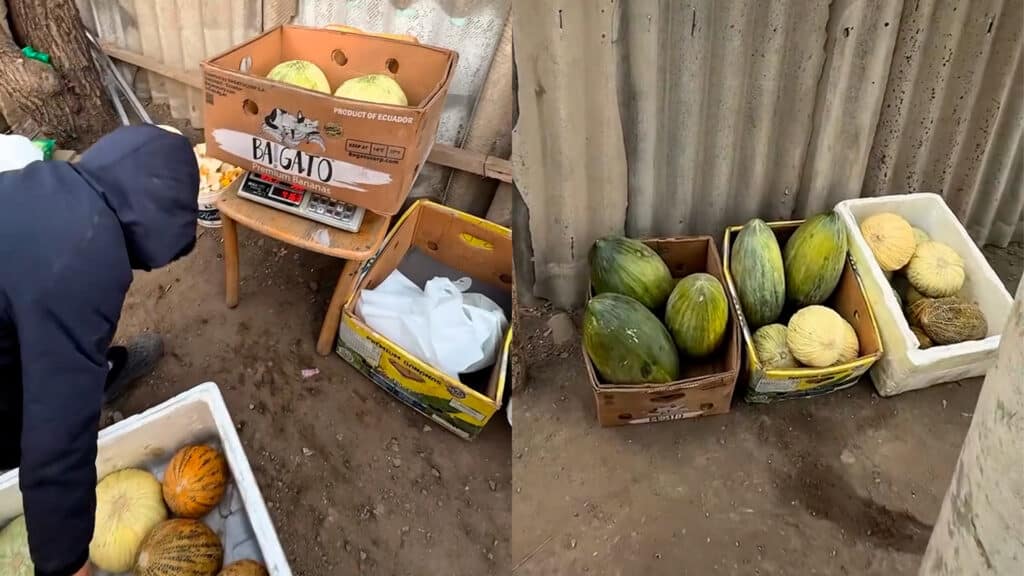 Фото: threads.com/@pakevich.kz, бильд-редактор: Дастан Шанай