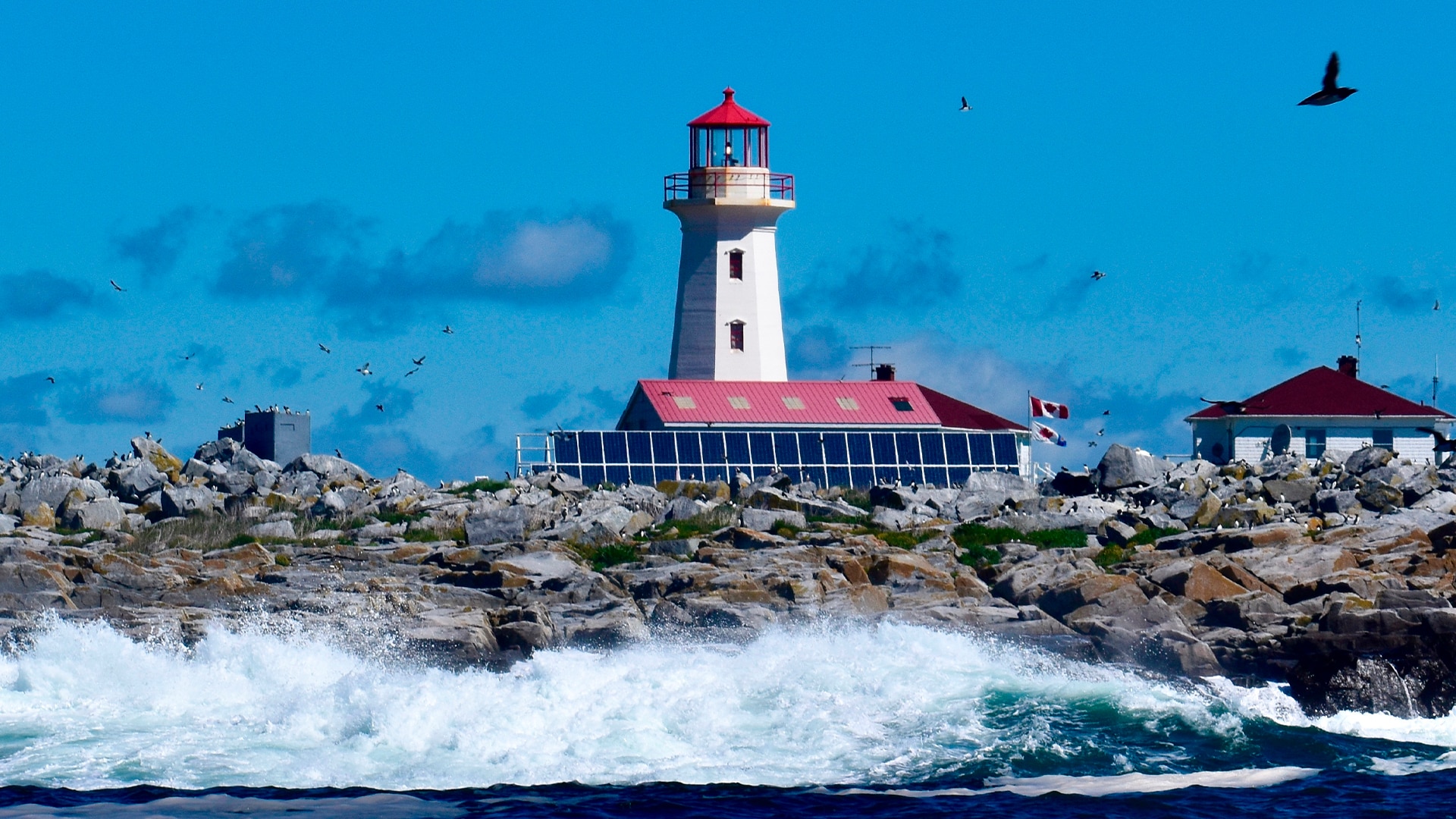 The Machias Seal Island lighthouse