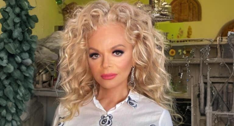 Отменой сделок, Человеком-пауком и хэппи-эндом закончился суд по квартире Долиной