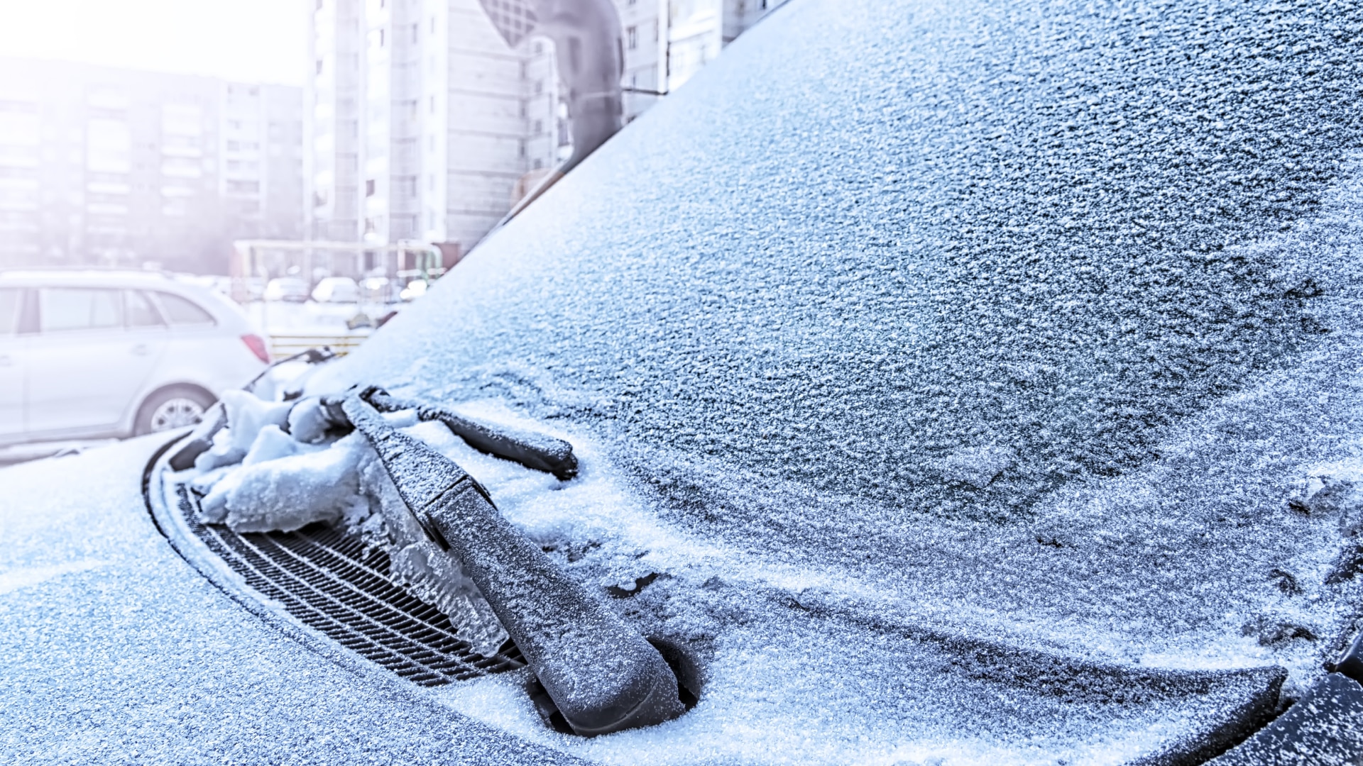 Лобовое стекло