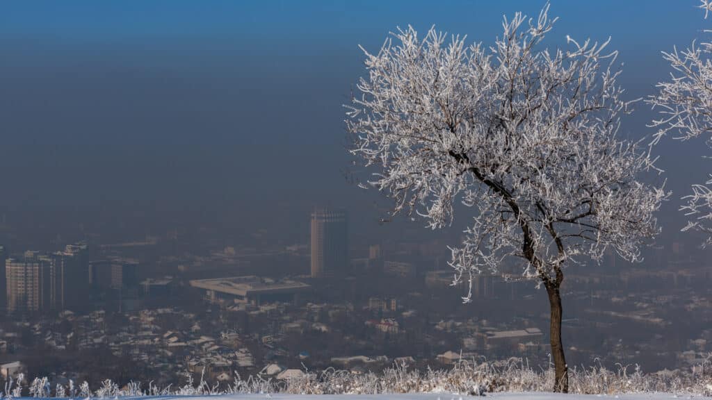 Фото: shutterstock, бильд-редактор: Адэлина Мамедова