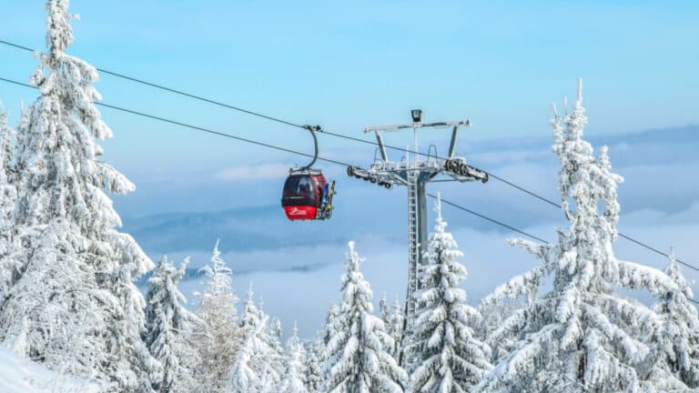 В ВКО появились планы на горнолыжный курорт беглого бизнесмена Балушкина