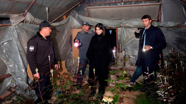 Дочь президента Узбекистана участвует в рейдах по теплицам из-за смога в Ташкенте