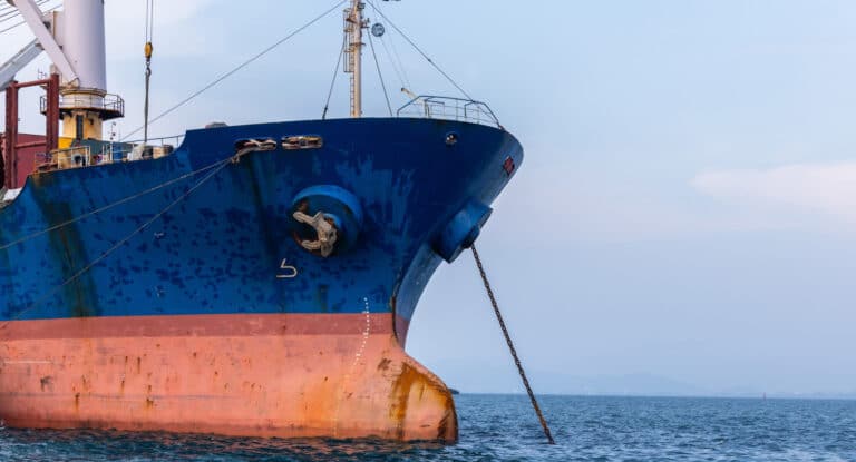 Работающая с Россией компания попросила у БРК деньги на покупку судов