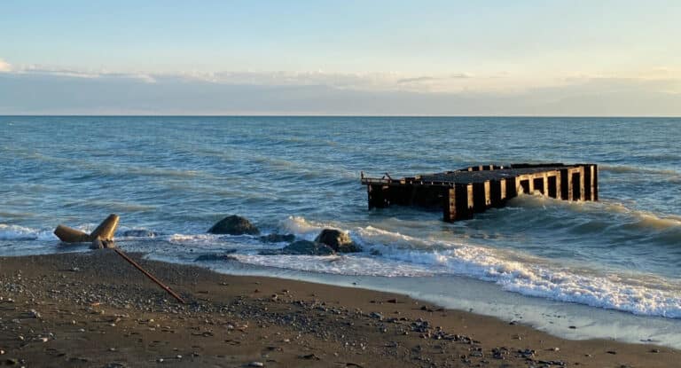 На Алаколе ускорили стройку и наказали чиновников после критики Токаева