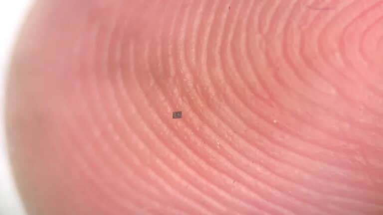 Роботов размером с песчинку разработали ученые США