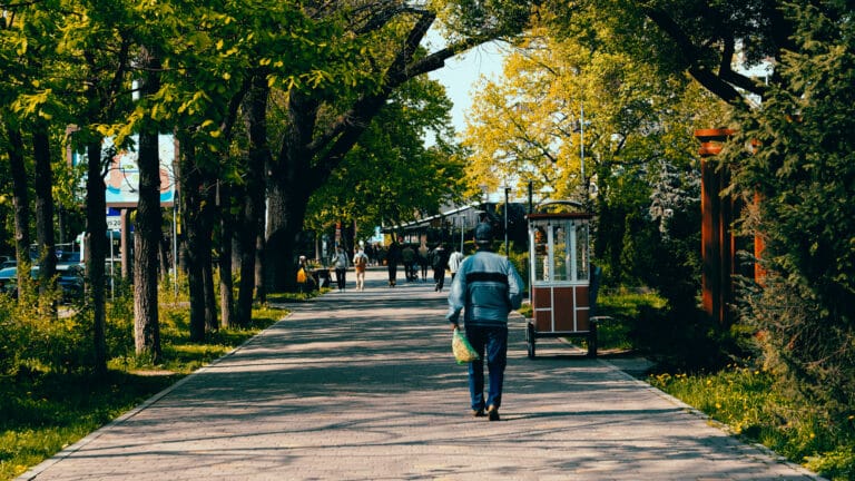 В Казахстане из 2 млрд обещанных деревьев посадили всего 800 млн