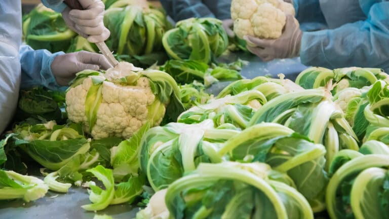 Новый завод за 9,5 млрд тенге строят в Алматинской области на деньги БРК