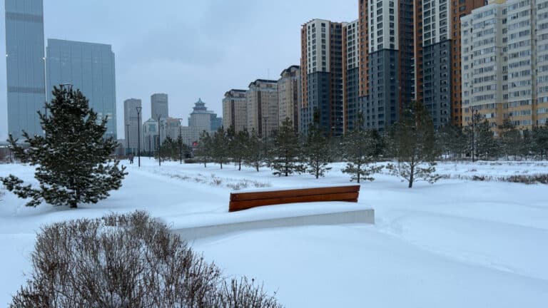 Общественную библиотеку построят в Линейном парке Астаны