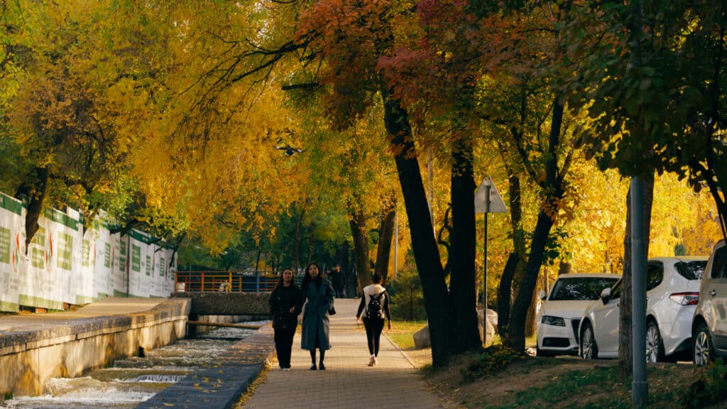 Делия Айдаралиева, бильд-редактор: Адэлина Мамедова