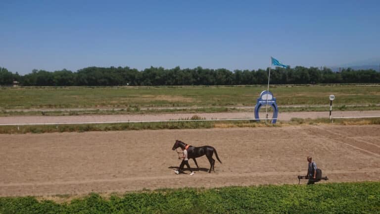 Премьер-министр прояснил судьбу ипподрома в Алматы