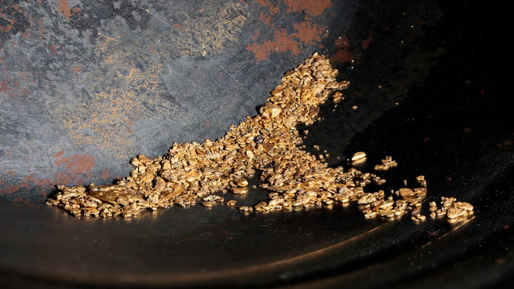 Принадлежащая казахстанцу компания начнет добычу россыпного золота на востоке страны/shutterstock, бильд-редактор: Дастан Шанай