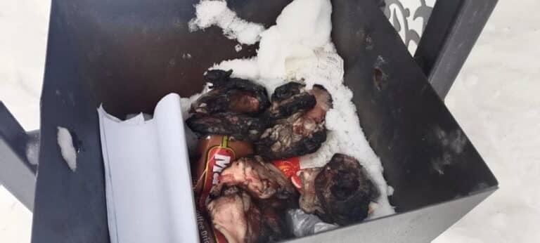 Риддерде Мәңгілік алауға біреу тауық пісірген