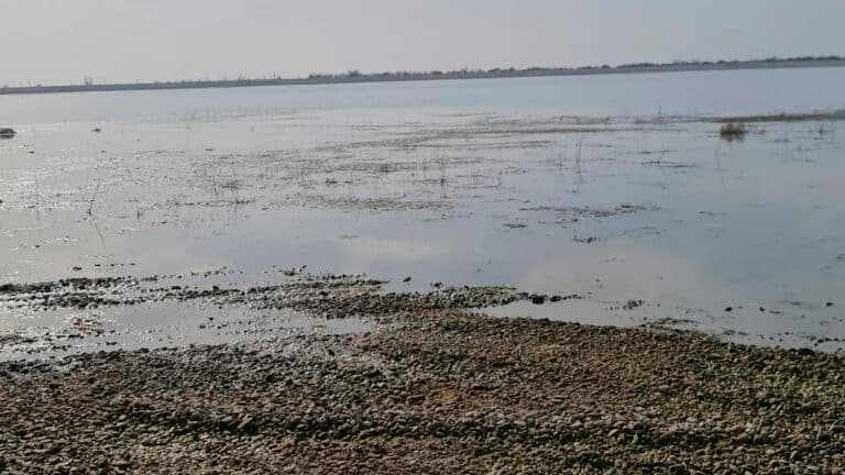 $5 млн вложат в заброшенный пляж в Туркестане, построенный при Шукееве