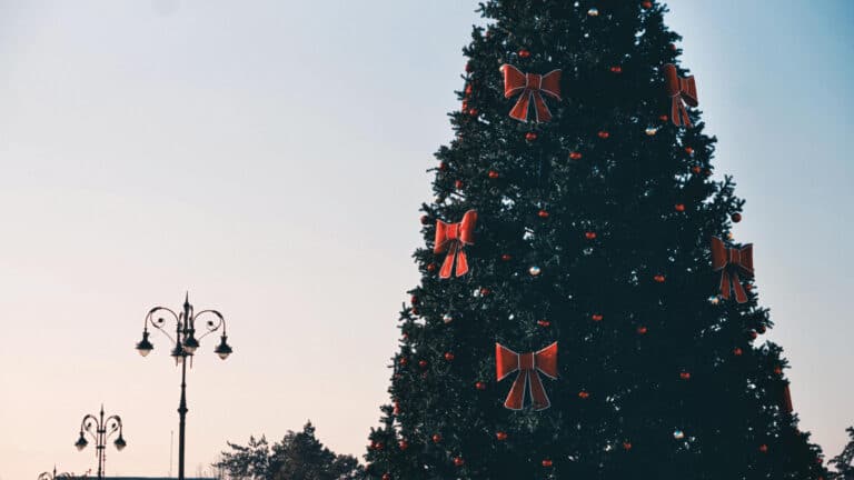 В Туркестанской области водитель снес новогоднюю елку