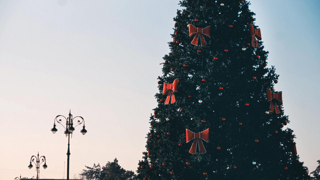 Фото: Делия Айдаралиева, бильд-редактор: Адэлина Мамедова