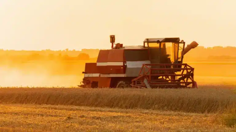 Елде астық екінші жыл қатарынан рекорд деңгейінде жиналды