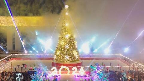 Алматының барлық ауданда жаңа жылдық шыршалардың шамы жағылды