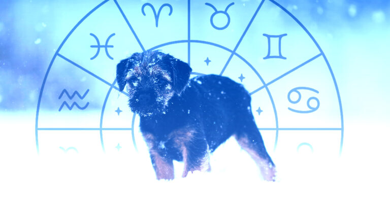Гороскоп на 18 декабря: кому стоит идти вперед, а кому - пересмотреть планы