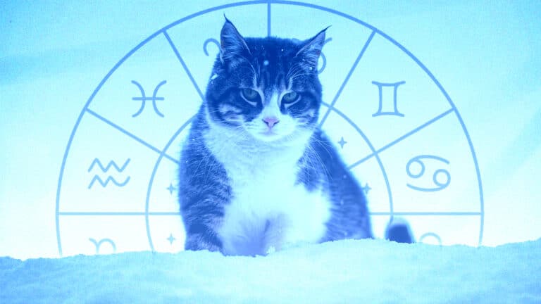 Гороскоп на 10 декабря: астрологи предупреждают о насыщенном и переменчивом дне