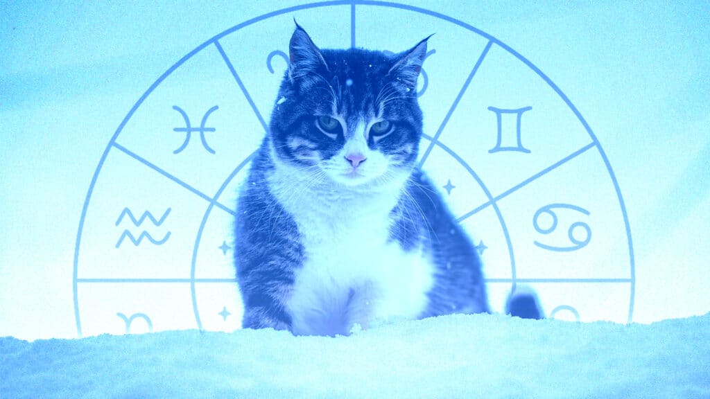 коллаж kursiv.media, бильд-редактор: Милош Муратовский