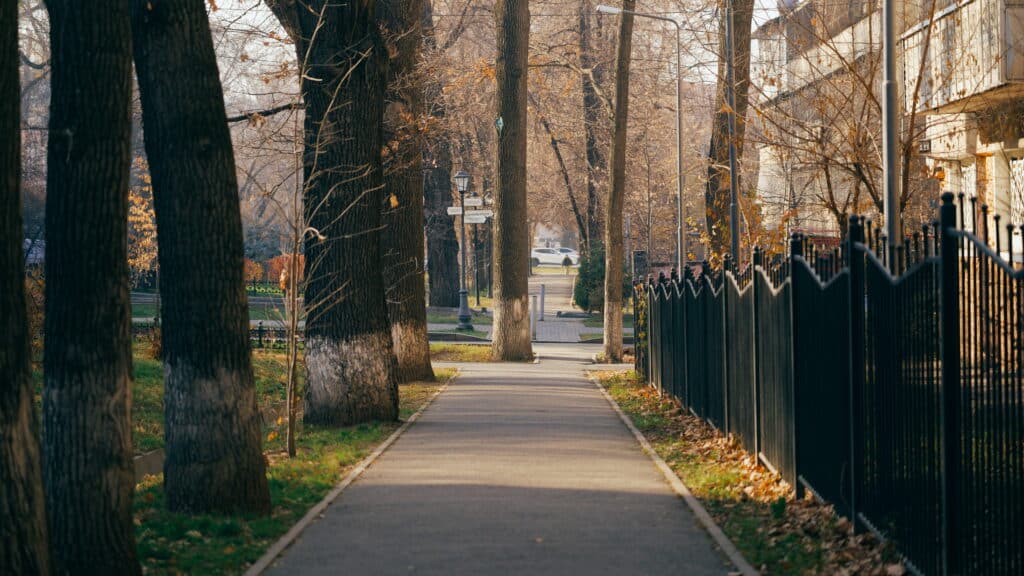 Фото: Делия Айдаралиева
