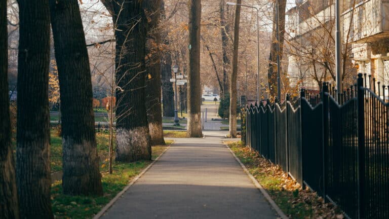 Синоптики объяснили зеленую зиму без снега в Алматы